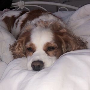 Meet your Posher, Melanie